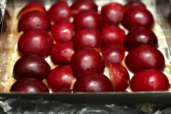 Rows of halved plums over cake batter in a metal square pan. 