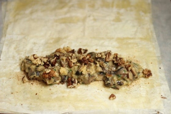 Phyllo dough with mushroom strudel filling before rolling.