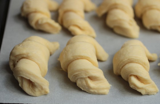 French croissants before baking on white parchment paper. 