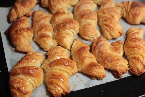 Baked French croissants in the baking pan with parchment paper. 