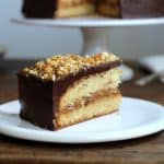 Buttermilk Cake with Dulce de Leche Praline Filling and Cream Cheese Chocolate Frosting