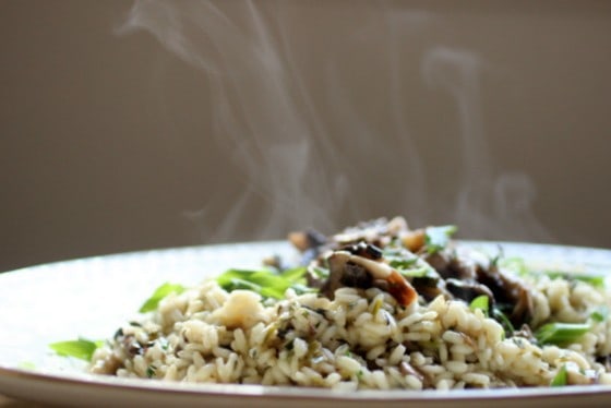 Oval white serving plate with steamy Mushroom Risotto