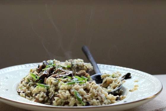 White oval dish with mushroom risotto, dark background