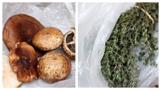 Wild Mushrooms and fresh thyme image collage