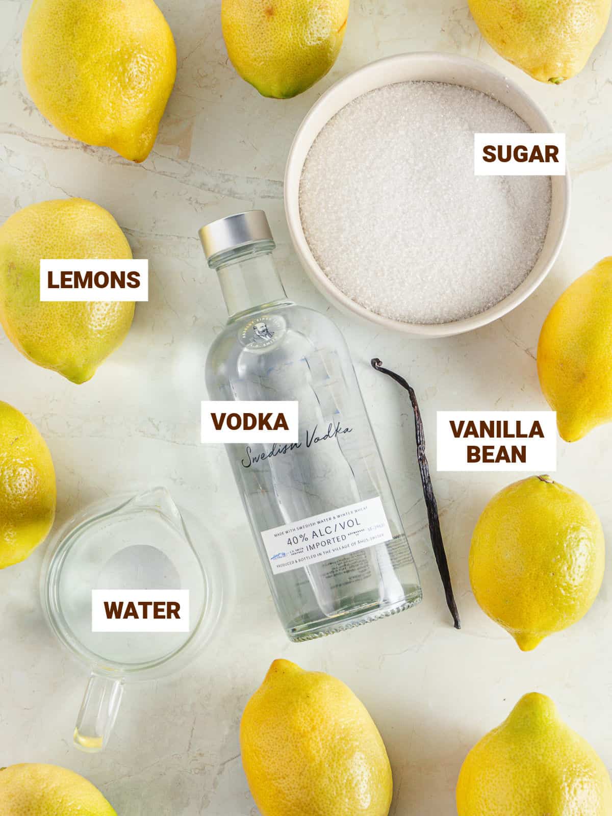 Vodka bottle, lemons, sugar, water jug and vanilla bean on a white background.