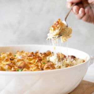 Lifting a fork of cheesy mac and cheese from a white dish. Grey background.