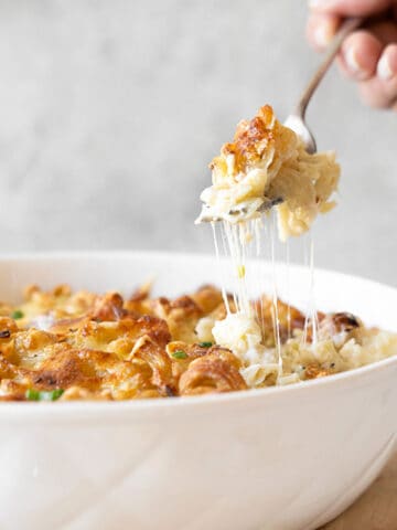 Lifting a fork of cheesy mac and cheese from a white dish. Grey background.