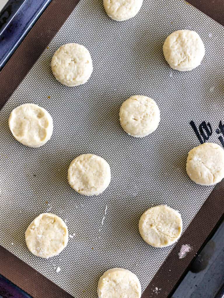 Rounds of scone dough before baking on a baking tray.