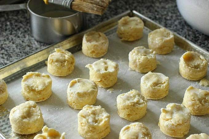 Baking sheet with lots of small round unbaked scones.