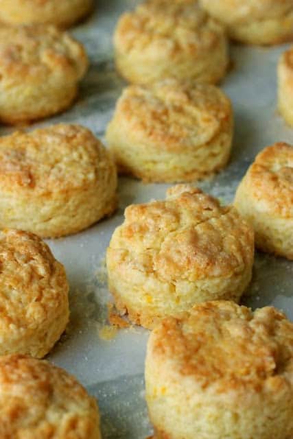 Baked scones on parchment paper
