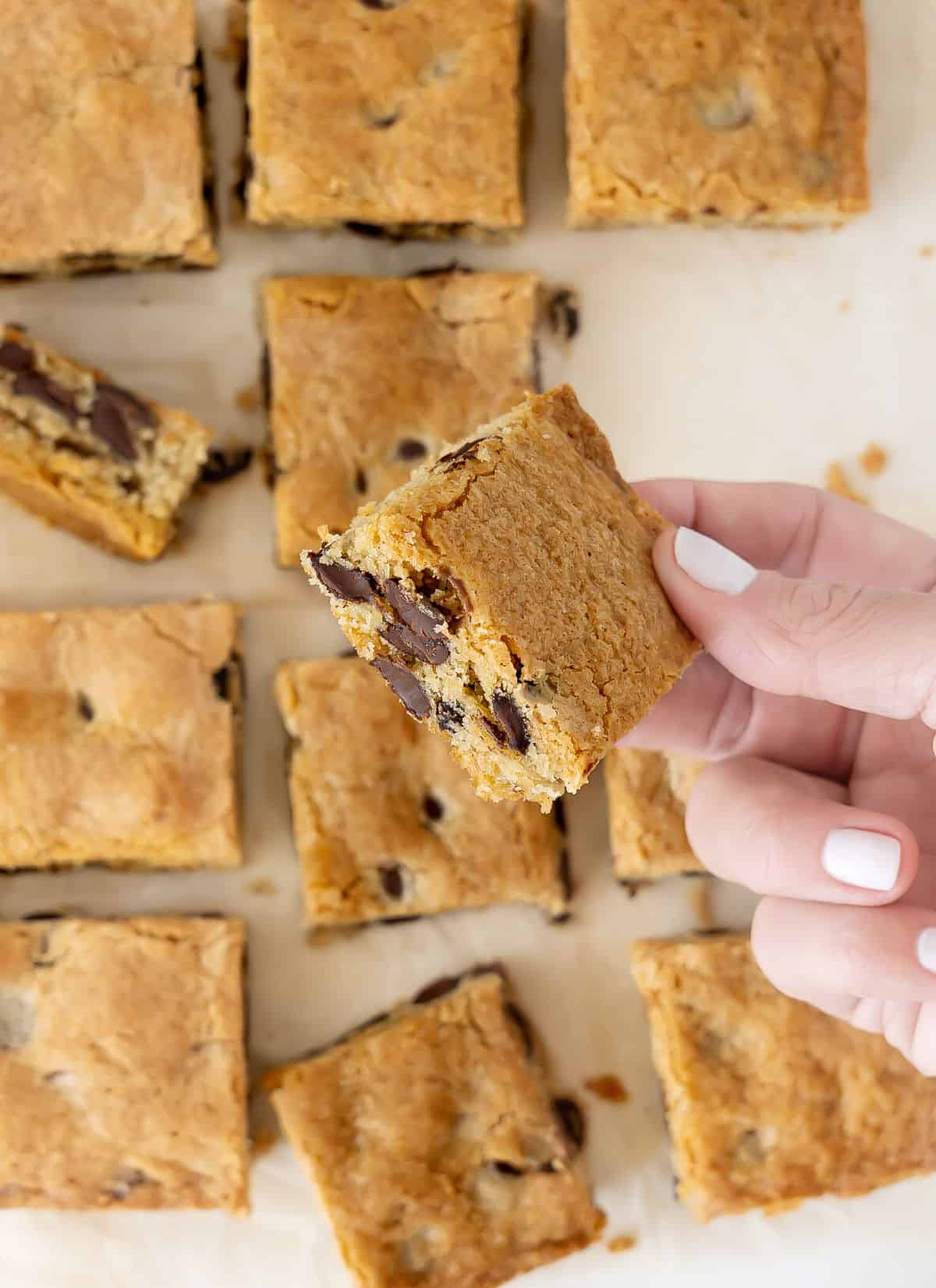 Holding a chocolate chip blondie square with rest of bars below.