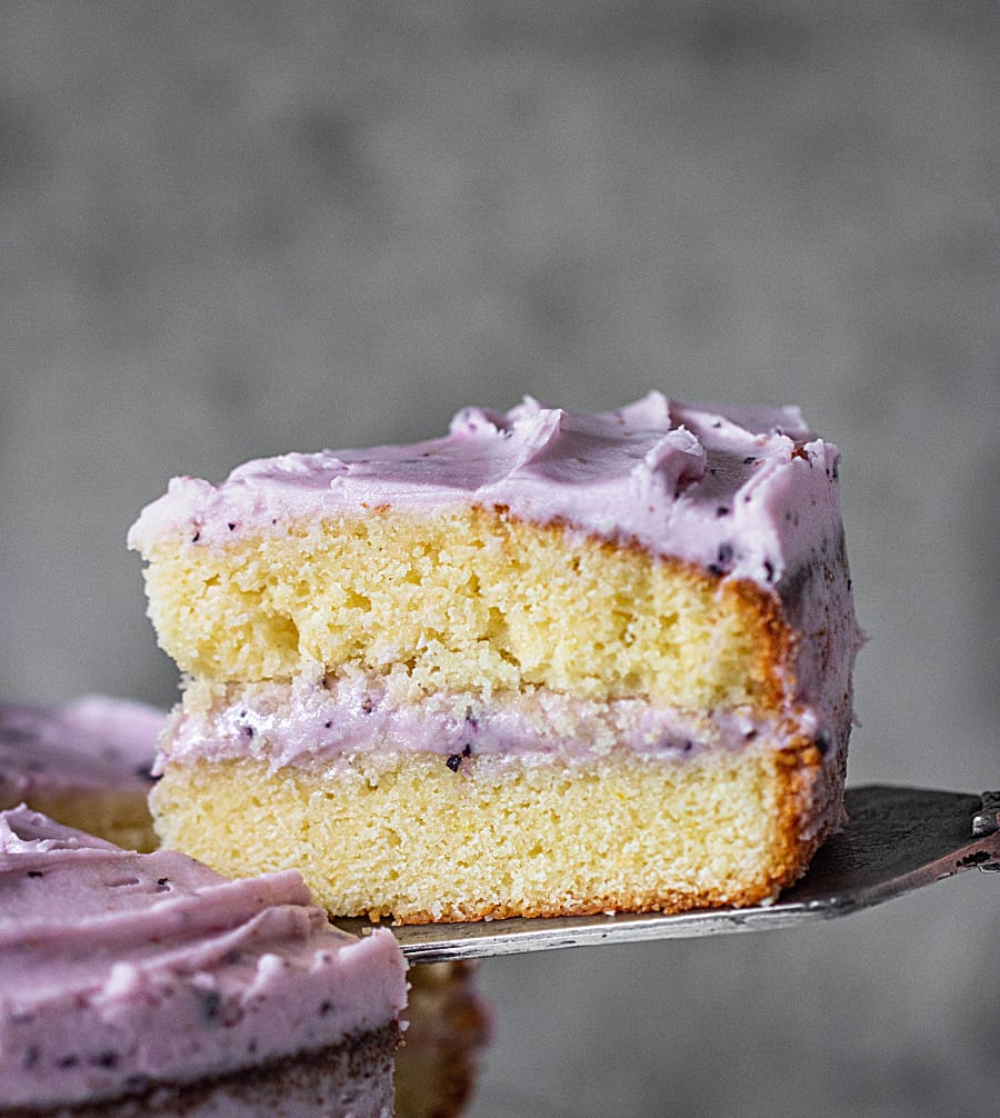 Close-up slice of lemon blueberry cake on a cake server.