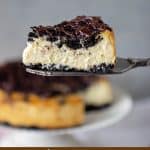 Slice of creamy Oreo Cheesecake on a cake server, cut cake, grey background