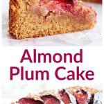 Almond Plum Cake long pin with text