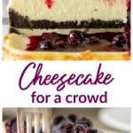 Best Berry Cheesecake Long Pin