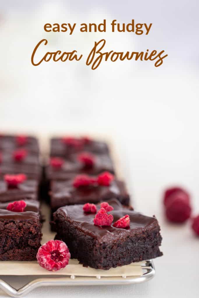 Squares of cocoa brownies, raspberry pieces, white surface, text