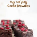 Squares of cocoa brownies, raspberry pieces, white surface, text