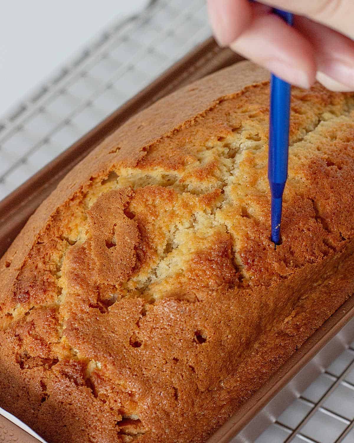 Poking a loaf of baked ginger cake in the loaf pan with a blue stick.