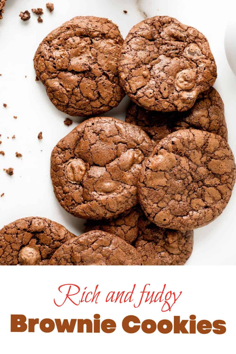 Brownie Cookies - Vintage Kitchen Notes