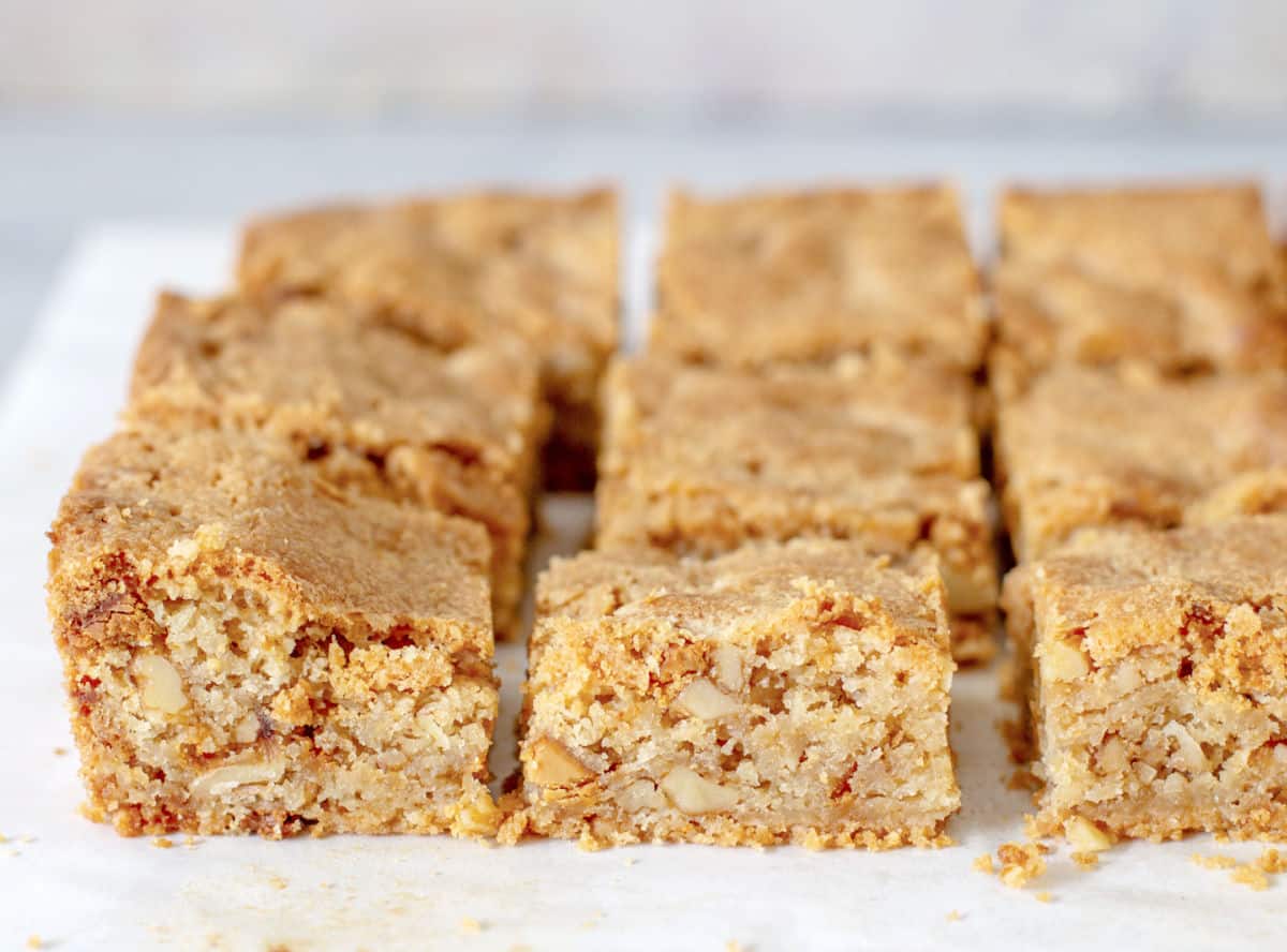 Several rows of blondie squares on a white paper.