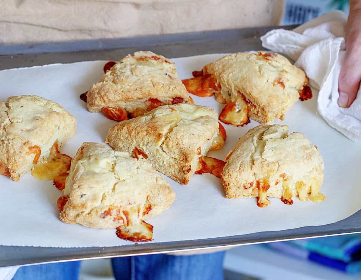 Hands holding baking sheet with baked cheese scones.