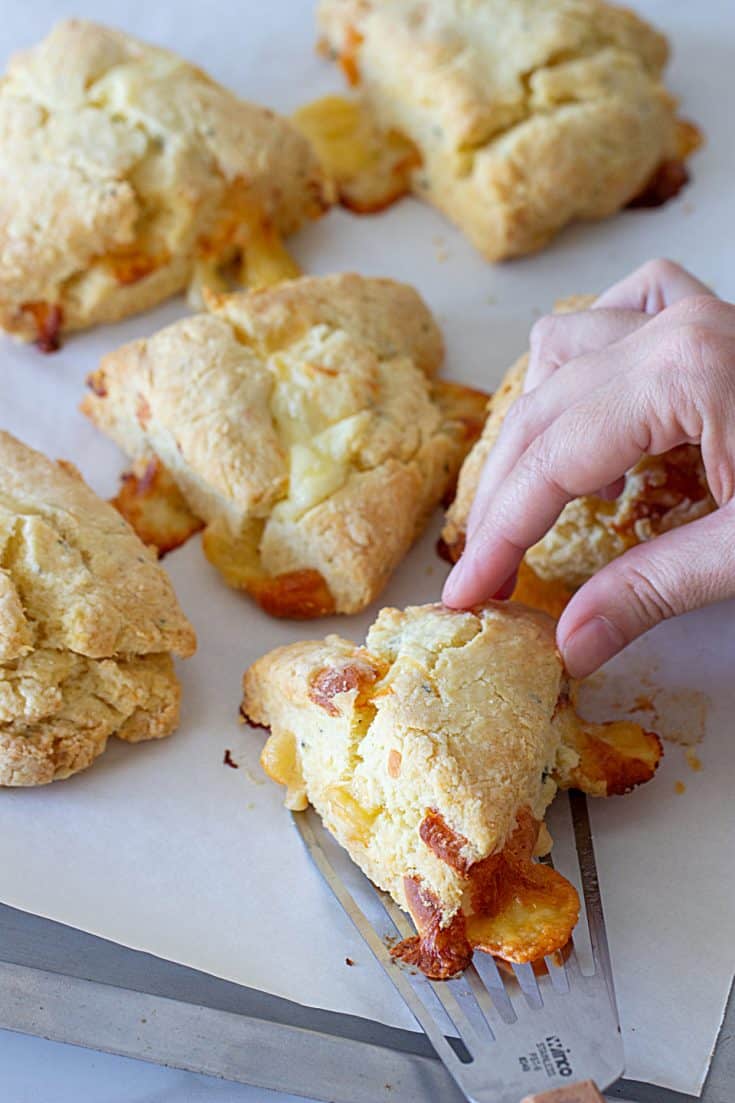 The BEST Cheese Scones | Vintage Kitchen