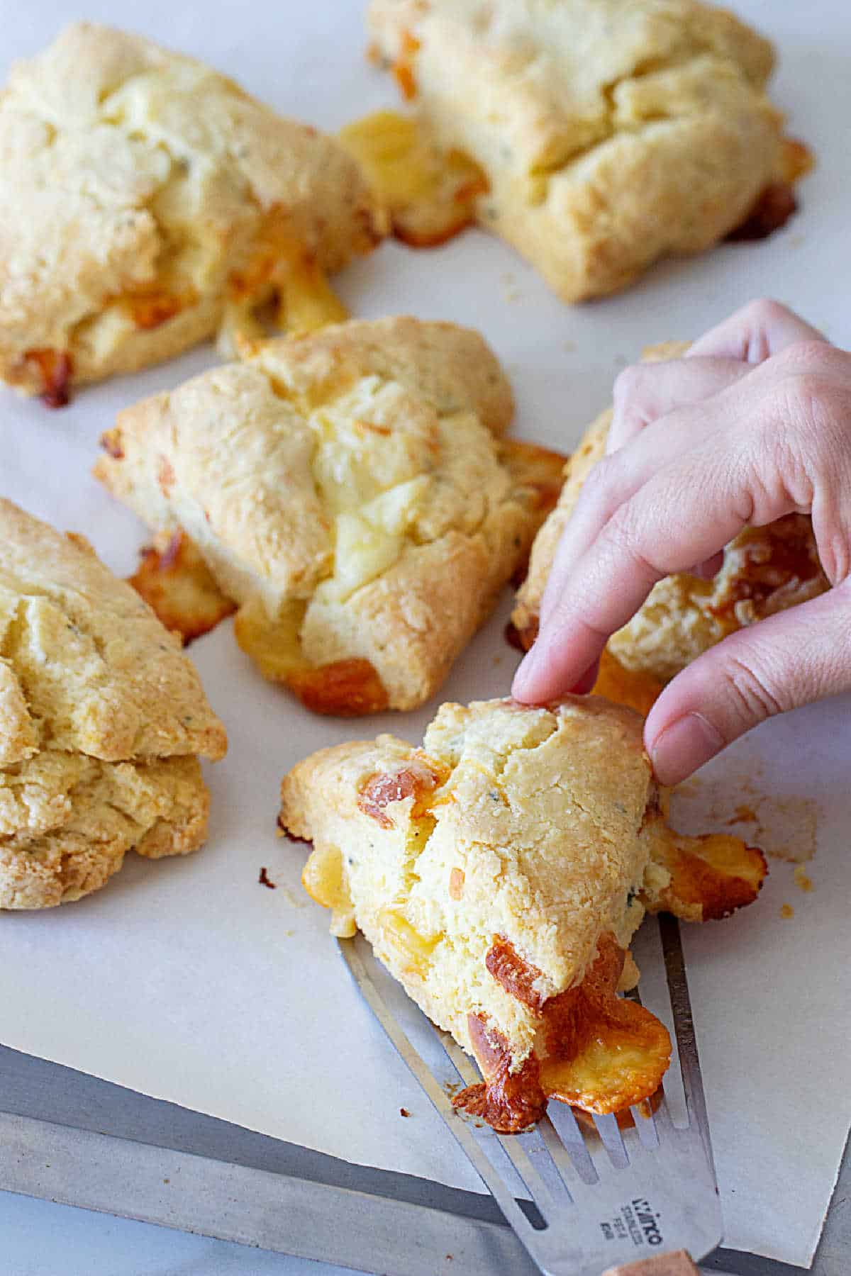 Lifting cheese scone from baking sheet containing several.