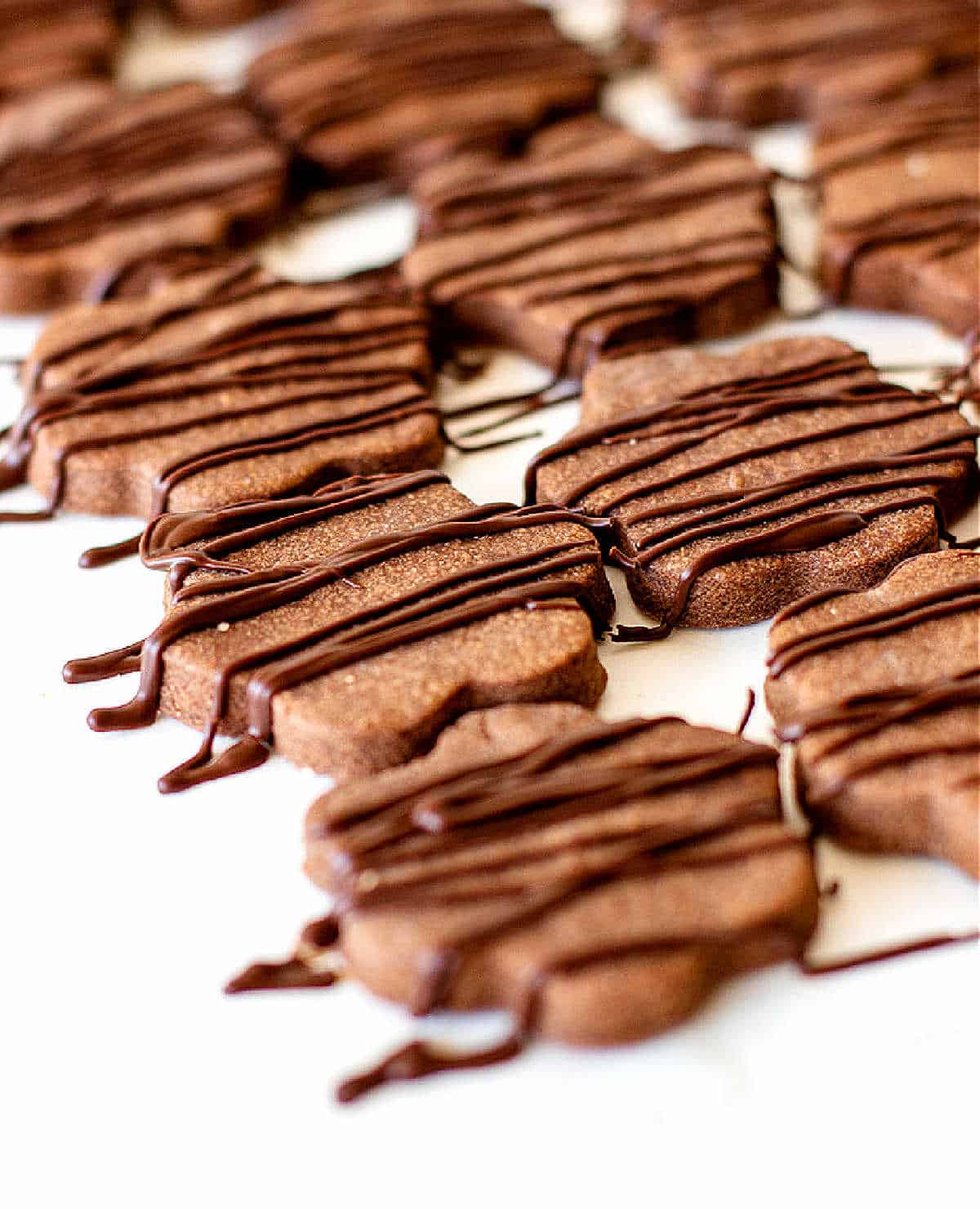 Rows of flower-shaped chocolate cookies topped with chocolate threads on a white surface.