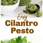 Image collage of jar and bowl with pesto, loose cilantro leaves