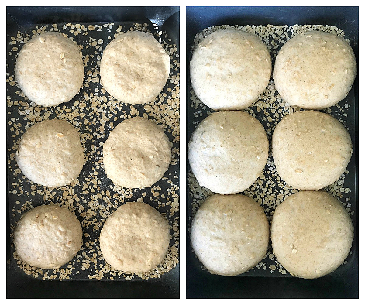 Image collage of dark metal pan with burger buns dough proofing