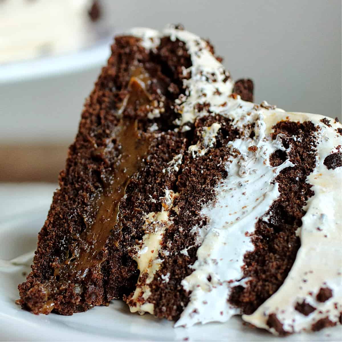 Close-up of chocolate layer cake filled with dulce de leche and meringue