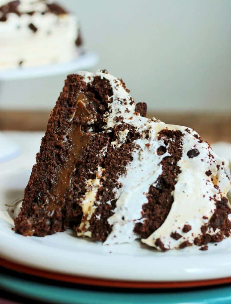 Large slice of chocolate meringue cake on white plate, earth colored background