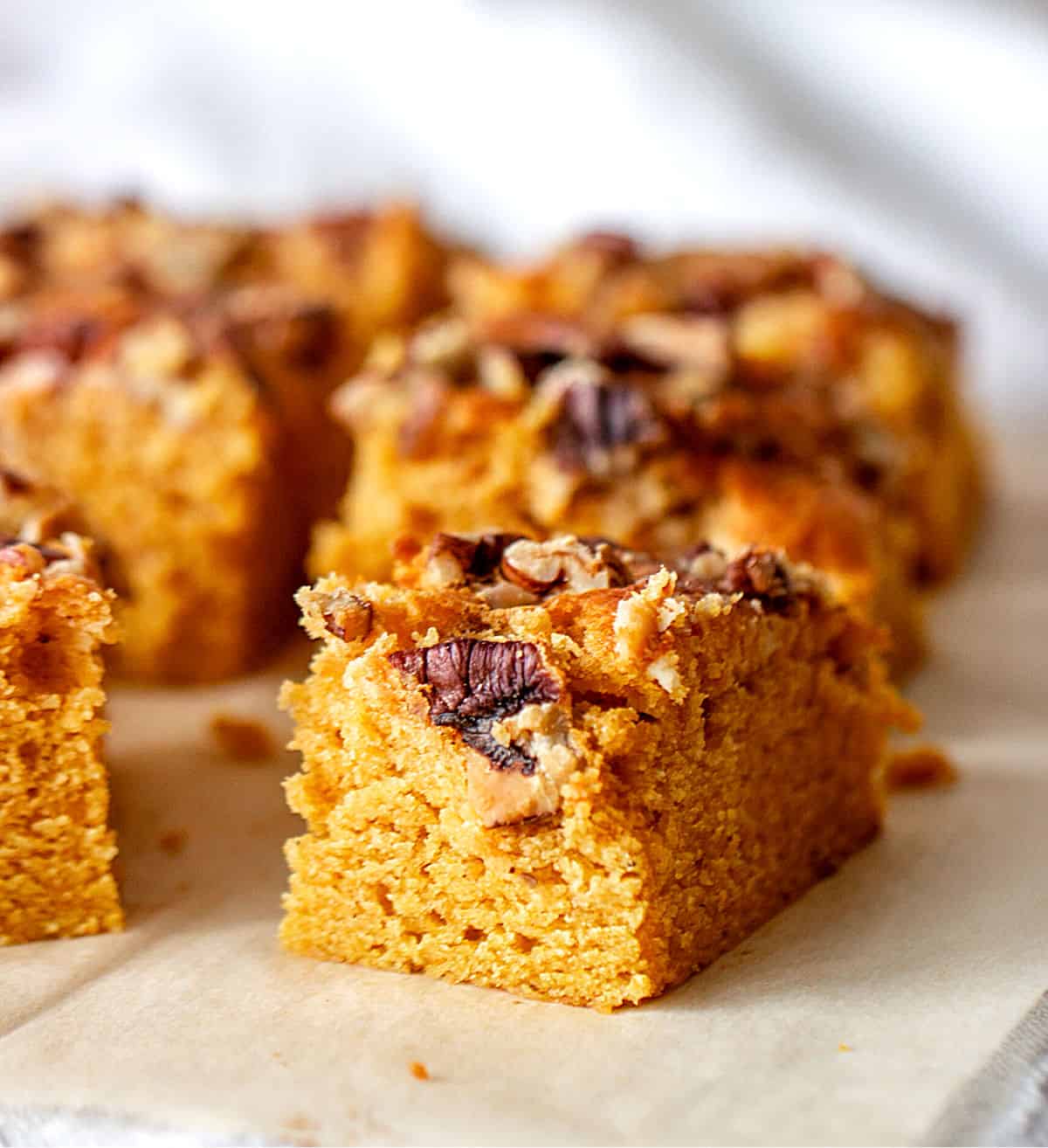 Rows of pumpkin cake squares topped with pecans, parchment paper surface, grey background