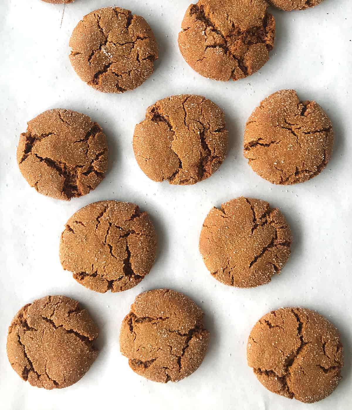 Flat top view of gingersnap cookies on white parchment paper
