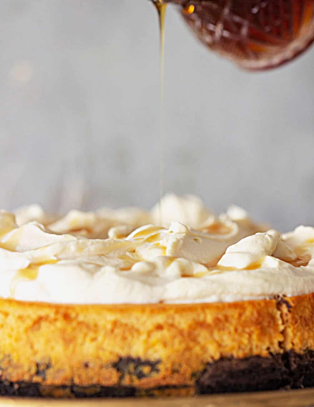 Pouring maple syrup on whipped cream topping on a pumpkin chocolate cheesecake. Grey background. 