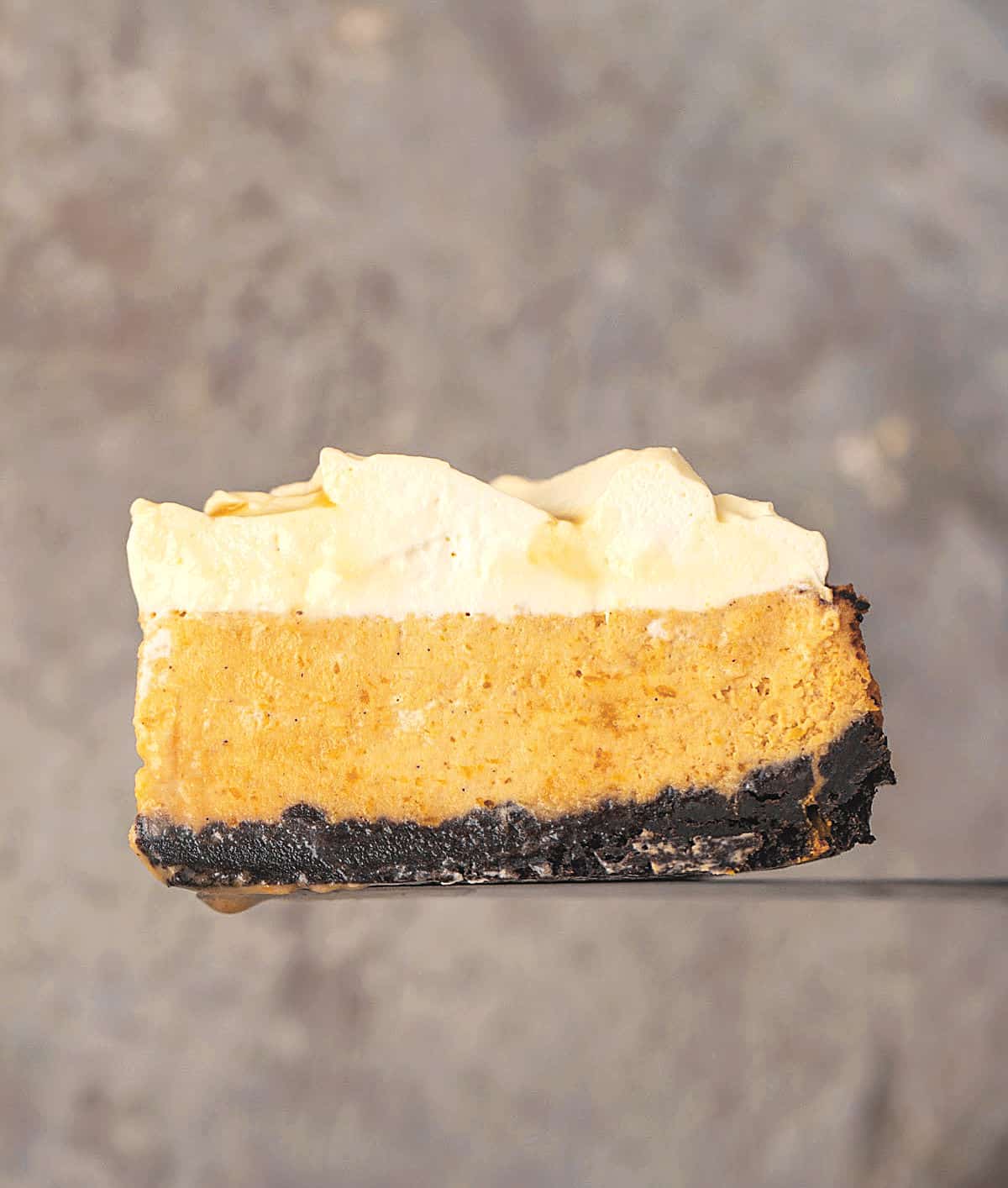 Single slice of pumpkin cream cheesecake on a brownish background.