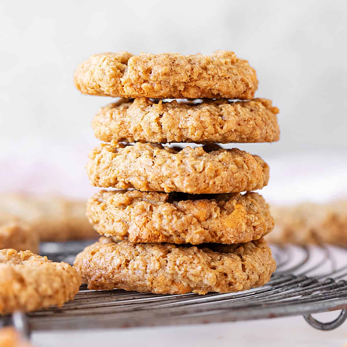 Close up of stack of oatmeal cookies on a wire rack with grey background.
