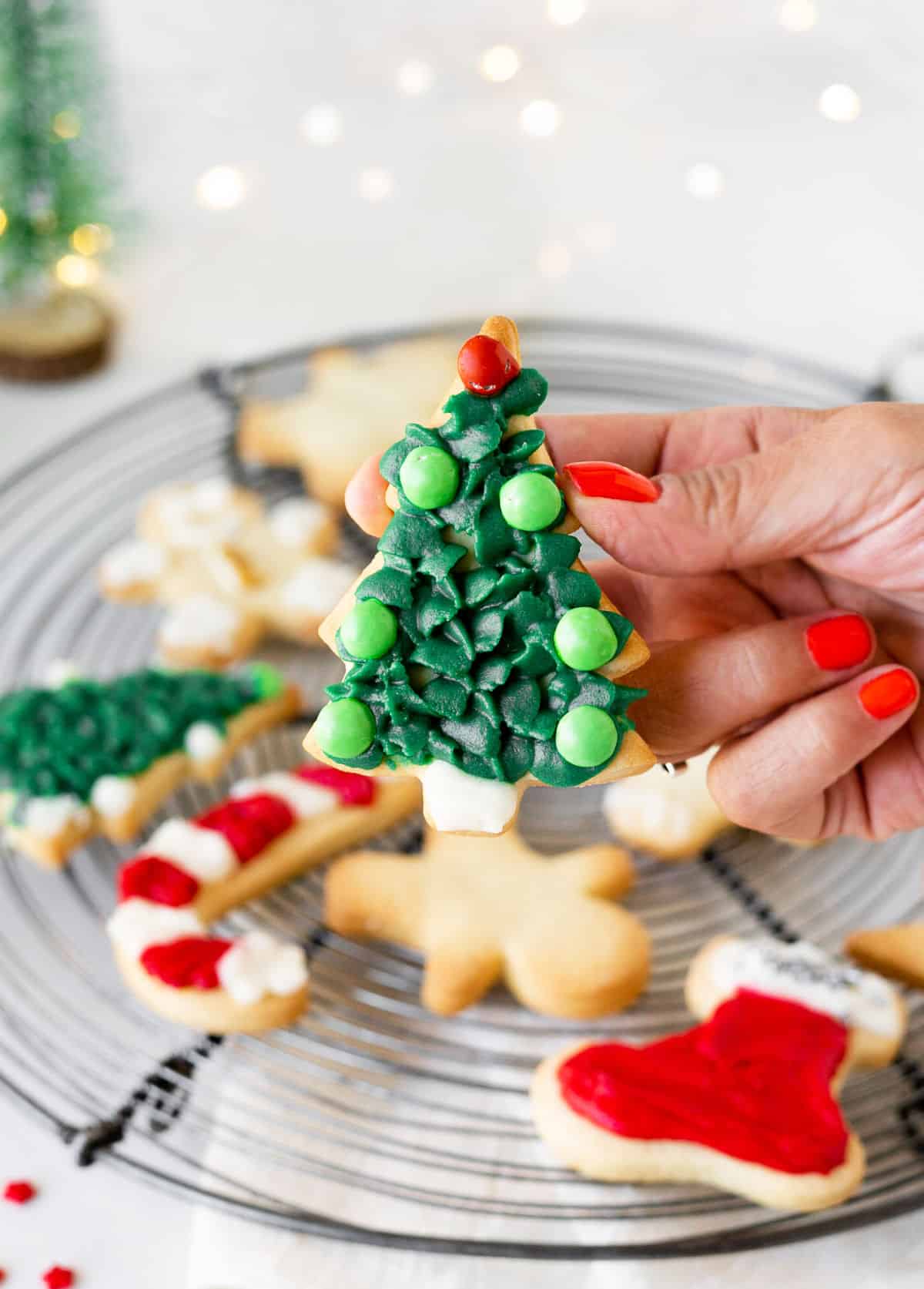 Holding a christmas tree decorated cut out cookie over wire rack with more cookies. White background with lights. 