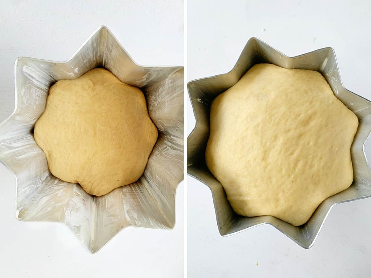 Two image collage of star shaped pandoro pan with dough in stages of proofing.