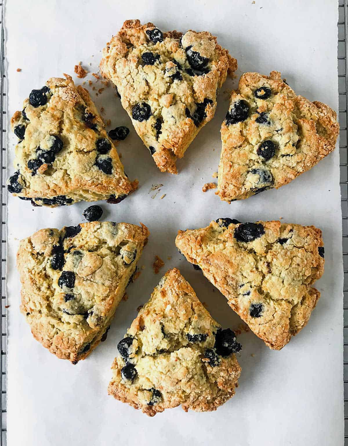 Top view of baked blueberry scones in a circle on white parchment paper.