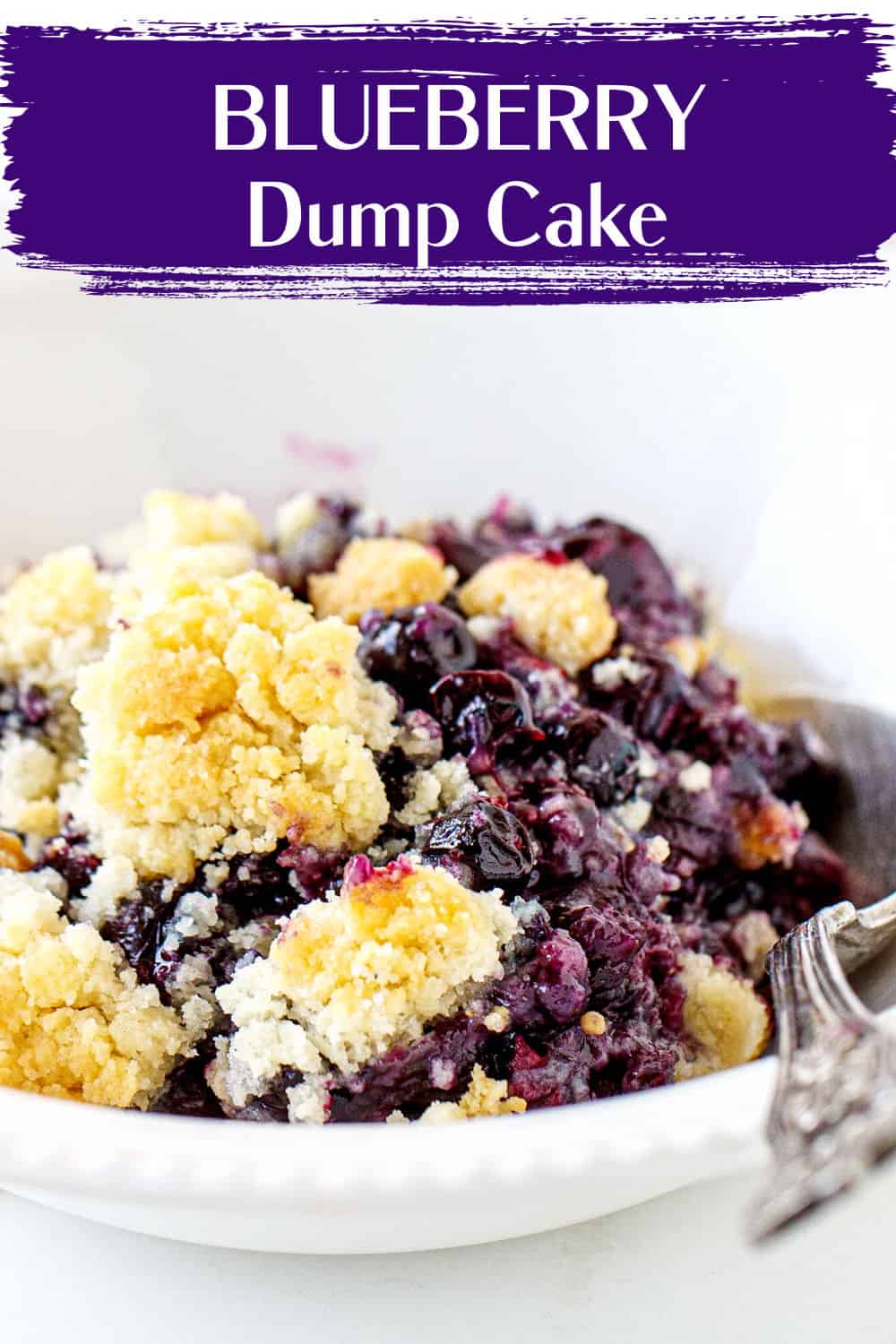 Blueberry Dump Cake - Vintage Kitchen Notes