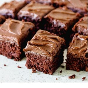 Light gray surface with squares of frosted chocolate cake.