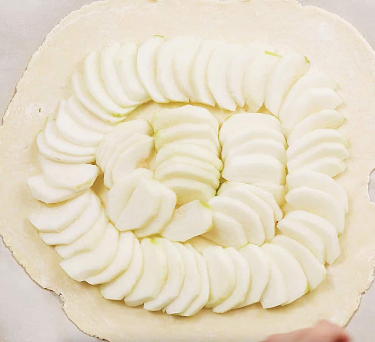 Rows of sliced apples on round piece of pie dough