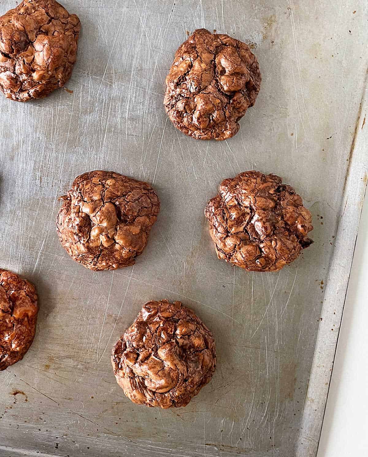 Top view of baked chocolate cookies on metal baking sheet.