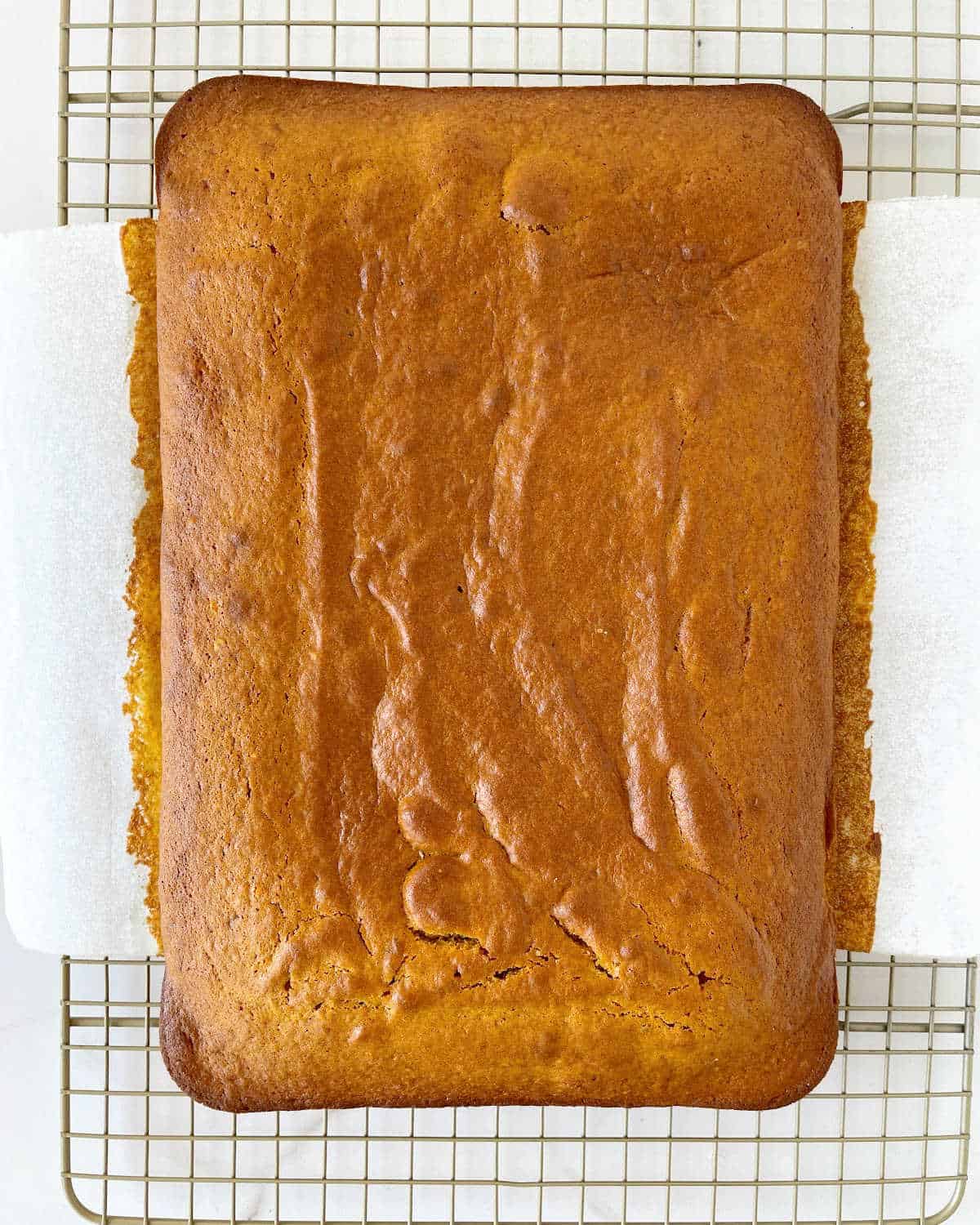 Baked pumpkin sheet cake on a wire rack. View from above.