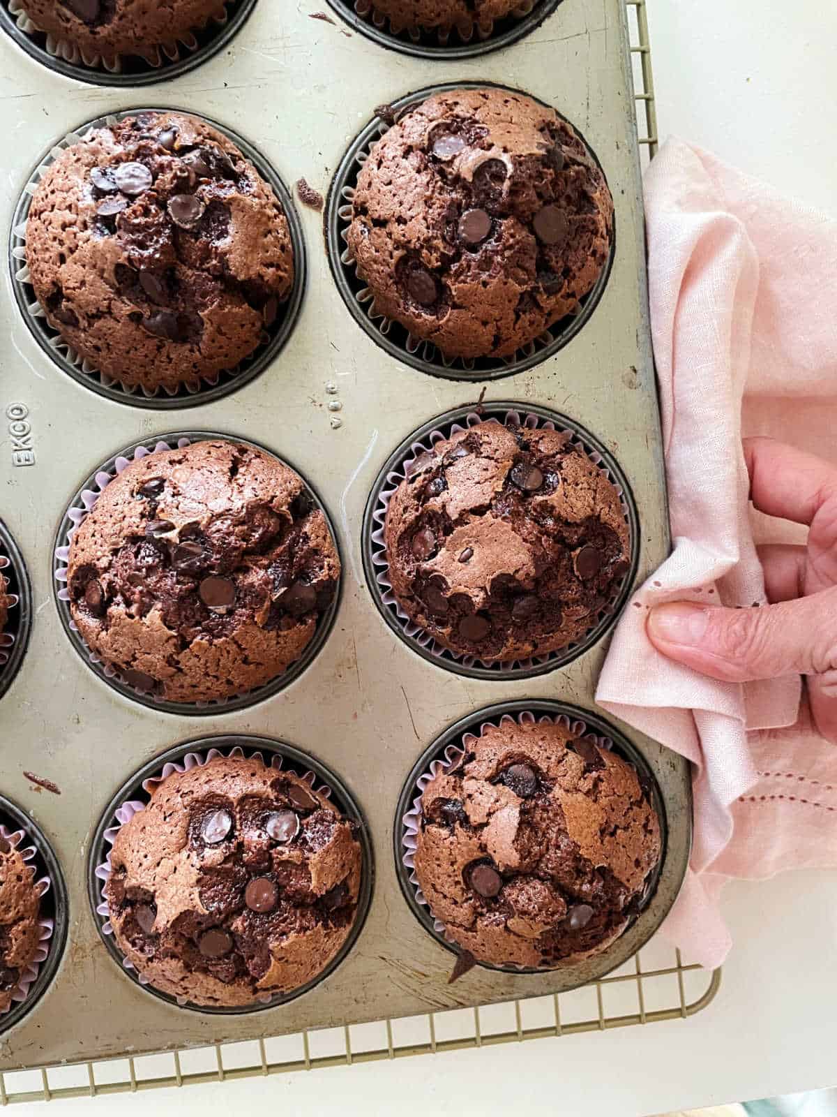 Hand with pink cloth holding metal pan of baked chocolate muffins.