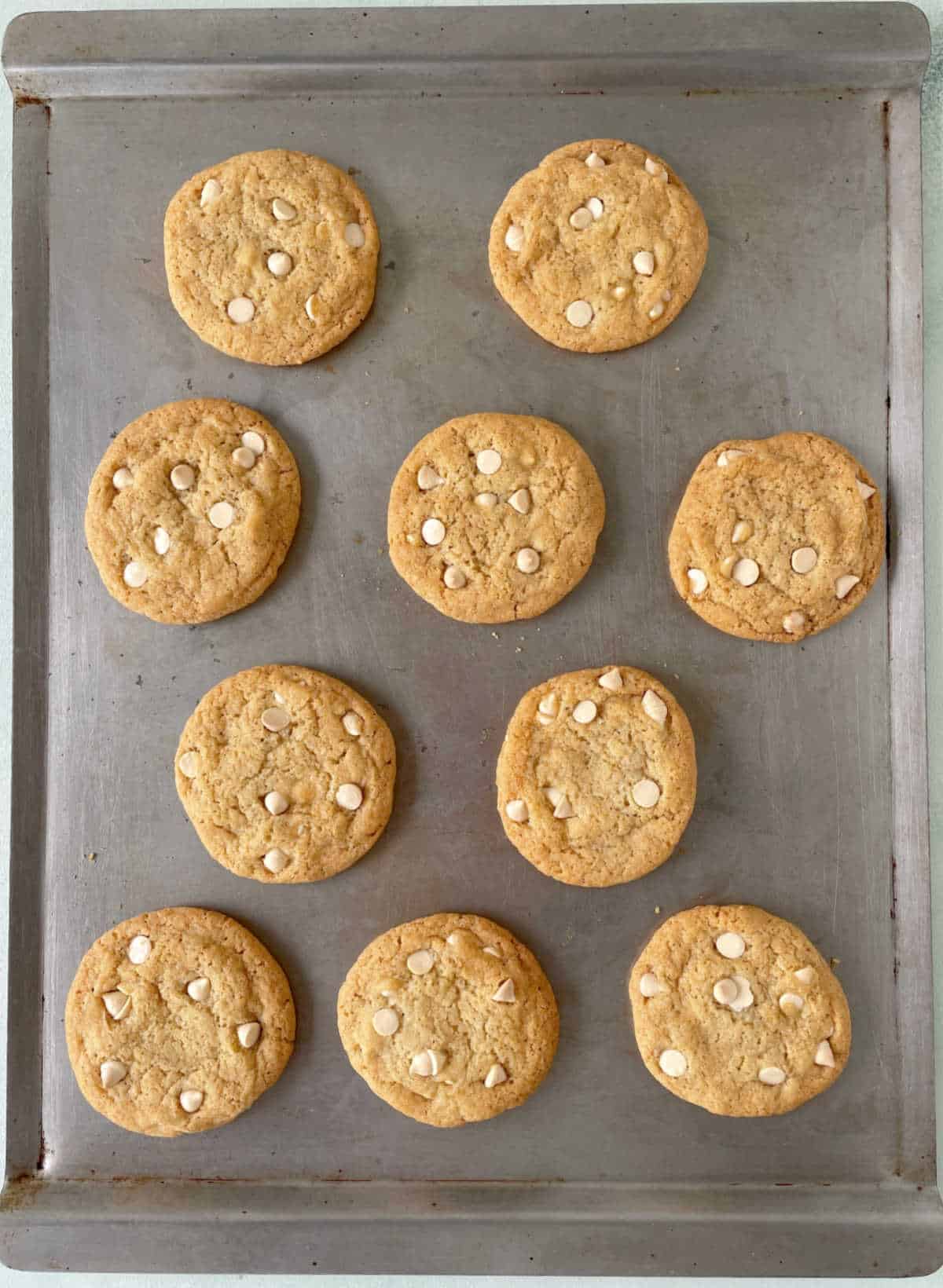 Top view of baked white chocolate chip cookies on metal baking sheet.