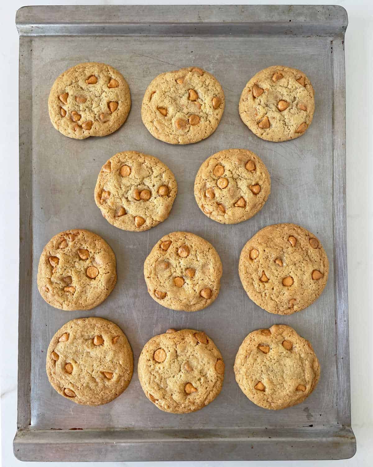 Baked butterscotch chip cookies on a metal baking pan.