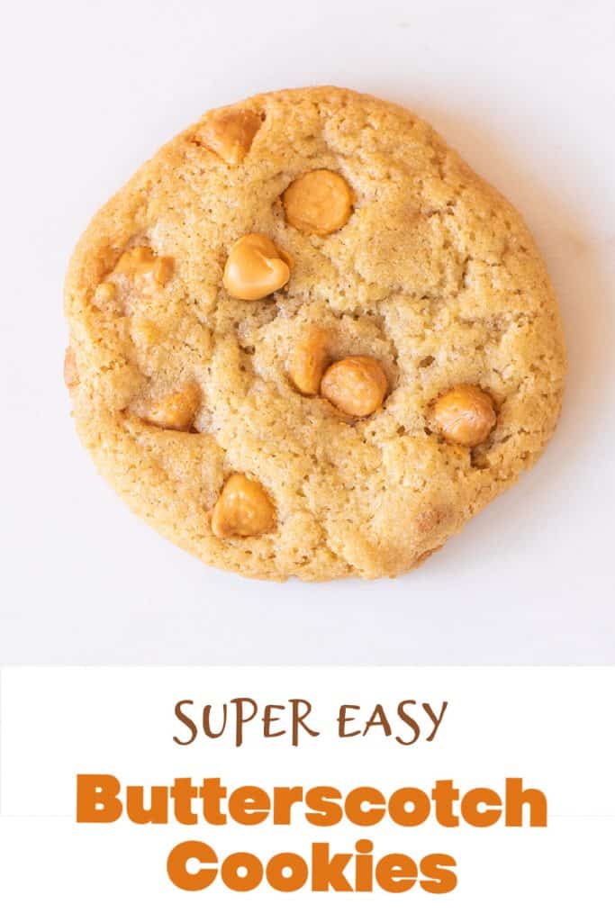 Flat view of single butterscotch chip cookie on white surface, brown text overlay