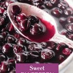 Zoom on silver spoon with blueberry compote, purple white text overlay.